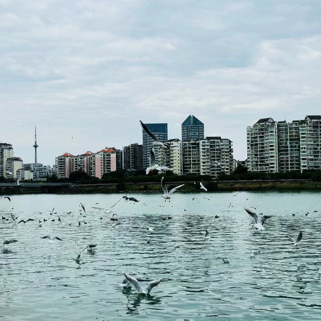 綿陽4天3晚旅遊攻略 綿陽4天3晚旅遊攻略