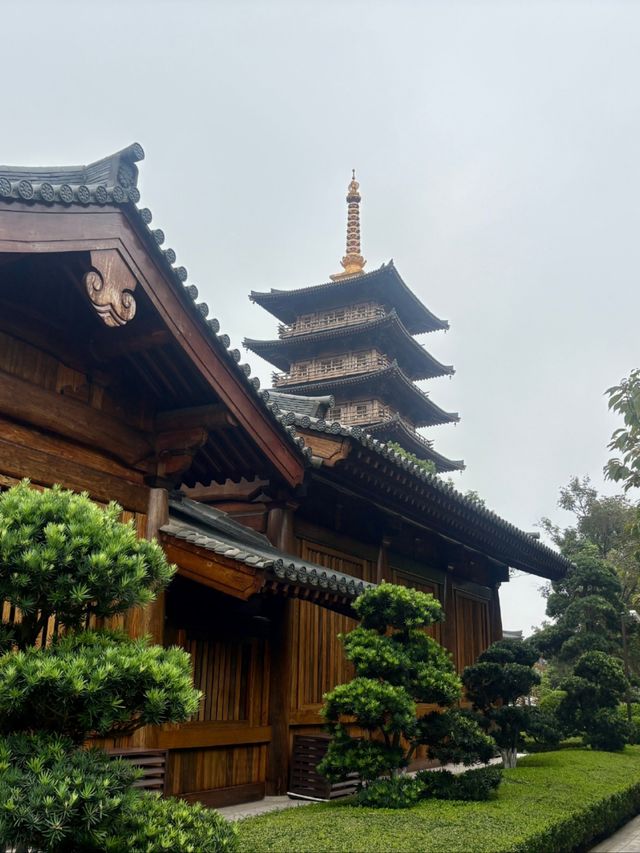千年晚唐風！白玉蘭獎古剎藏魔都！寶山寺暴走指南