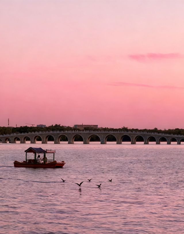 圓明園花海暴擊！一不小心闖進莫奈油畫世界