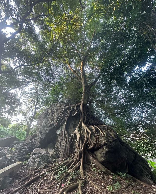 遠山晴空如畫境
