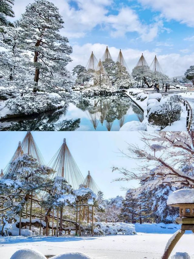 告別人擠人·日本資深玩家強推小眾玩雪路線