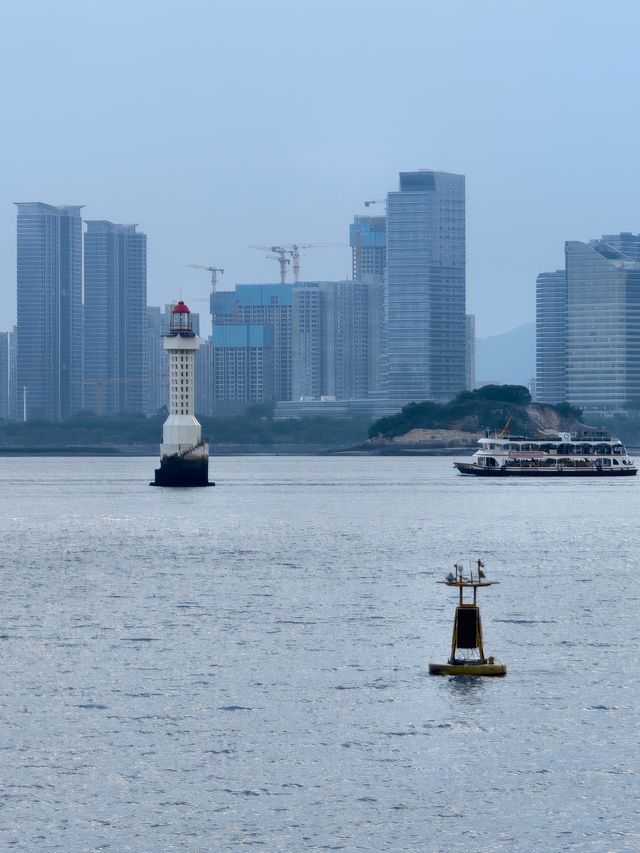 海灣公園賞花指南