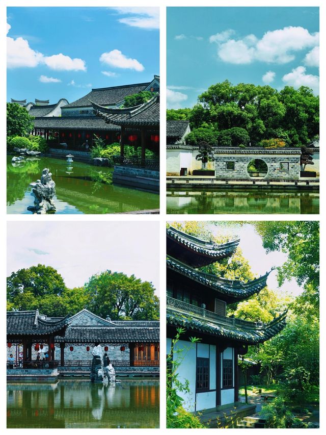 普陀山避坑實錄｜暴走2萬步後，把佛國乾貨和冷知識全扒了?