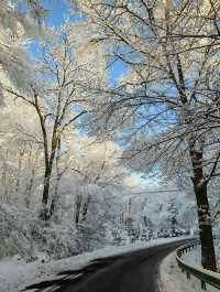 雪嶺凝霜綴瓊枝，尚志霧淞赴一場冬日詩行