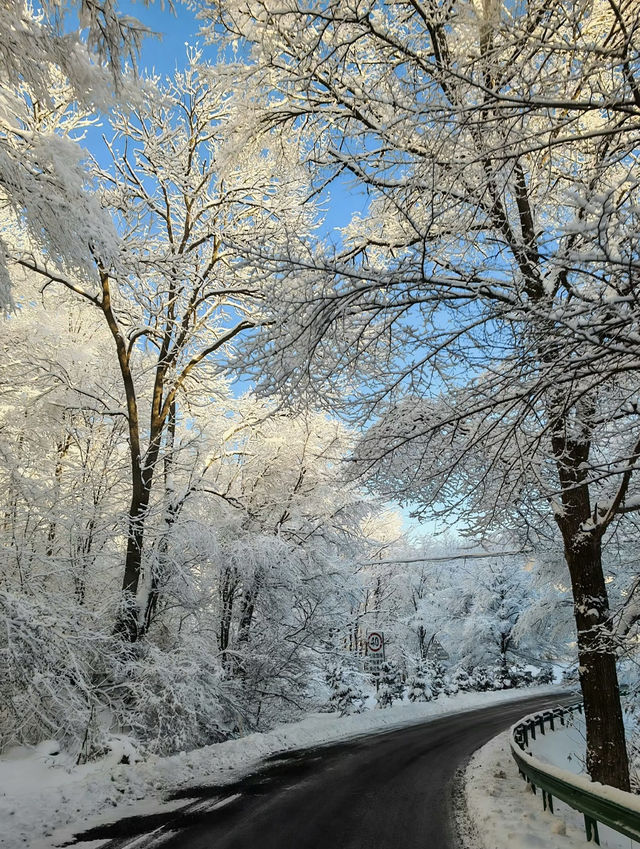雪嶺凝霜綴瓊枝，尚志霧淞赴一場冬日詩行