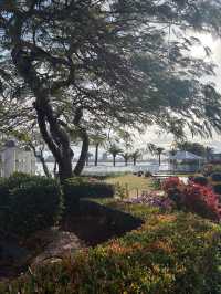 Fantastic Experience at Seaworld Resort!