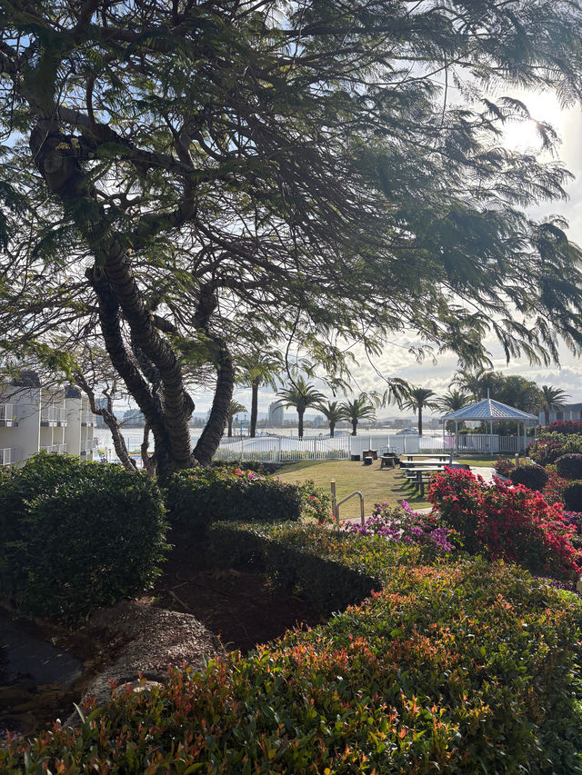 Fantastic Experience at Seaworld Resort!