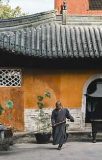 秋風微涼，稻穀滿倉：記第四次去國清寺