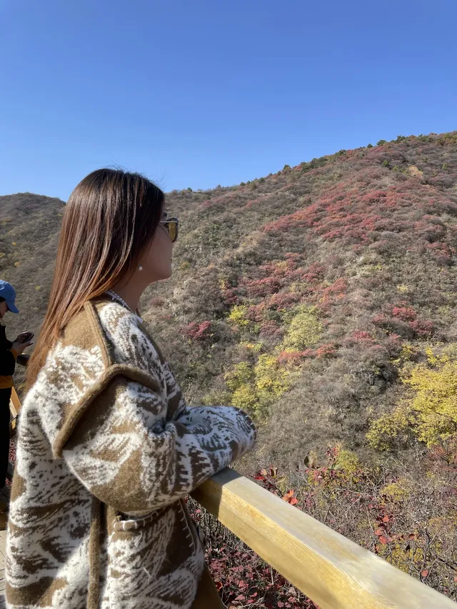 北京最美秋天在這！免費紅葉步道美到窒息
