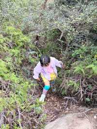 寧波親子徒步｜媽媽，山裡攀岩也太有趣了吧！