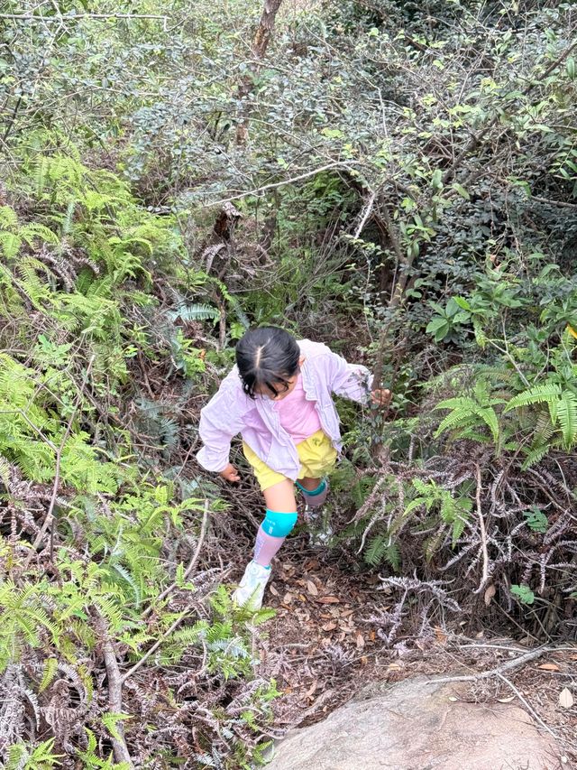 寧波親子徒步｜媽媽，山裡攀岩也太有趣了吧！