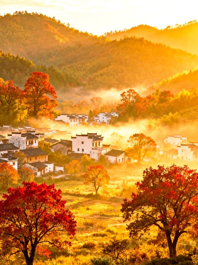 晨光吻過塔川時，秋便有了形狀……