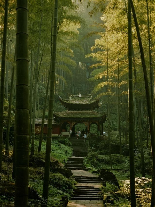 蜀南竹海一日遊攻略不費腿的精華路線