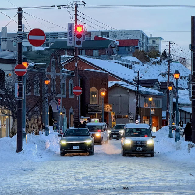 ❄️홋카이도의 눈, 하늘에서 내린 솜사탕
