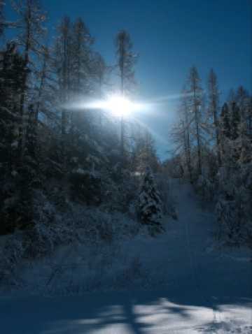 Free Winter Walk to Val Fex – Switzerland’s Quiet Alpine Paradise