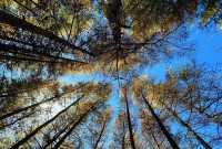 草原天路中段景色美極了,適合自駕遊