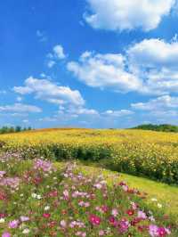 5個景點玩轉茅山周邊