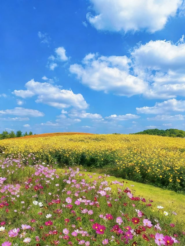 5個景點玩轉茅山周邊