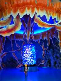 永泰歐樂堡福州版海洋王國