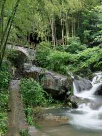 秋遊湖州包車遊簡直不要太爽