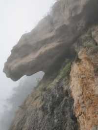 洛陽1天包車遊打卡必去景點