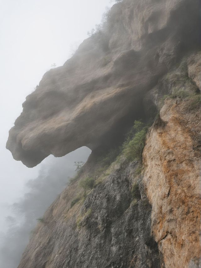 洛陽1天包車遊打卡必去景點