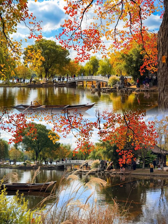 南京莫愁湖賞秋攻略｜一年一度做「飽和度戰士」的時間到啦！