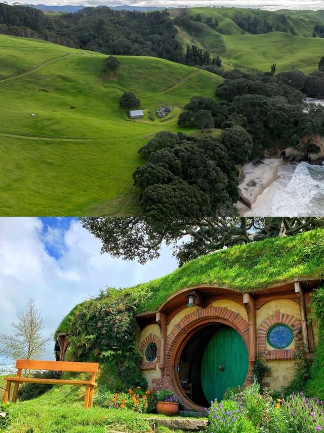 純淨星球終極體驗