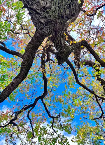 Mochou Lake, Nanjing｜A pool of clear water washes away a thousand years of sorrow, a must-visit tranquil spot in Jinling