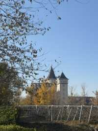 煙台初冬限定希爾頓逸林酒店隔壁就是童話酒莊