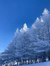 北京滑雪直通車開通!週末2小時直達雪場