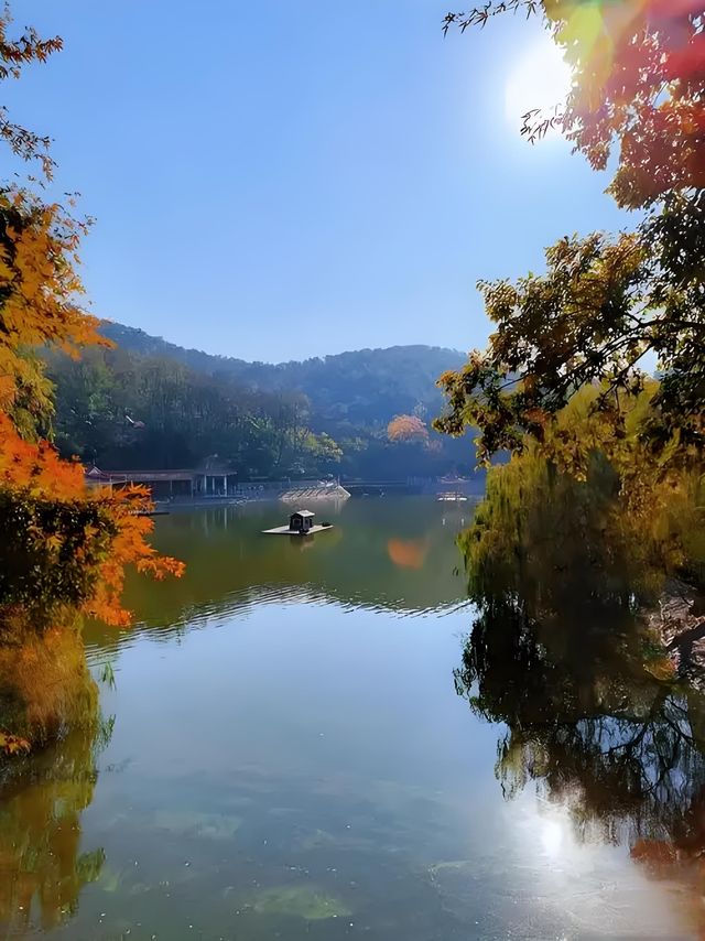 秋日限定：青島北嶺山森林公園紅葉全攻略 