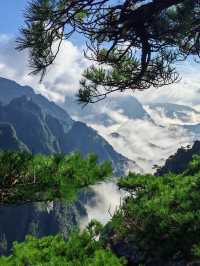 黃山30小時極限挑戰：兩天一夜保姆級攻略，解鎖100%精華體