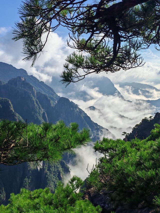 黃山30小時極限挑戰：兩天一夜保姆級攻略，解鎖100%精華體