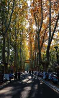 南京靈谷寺賞秋秘境