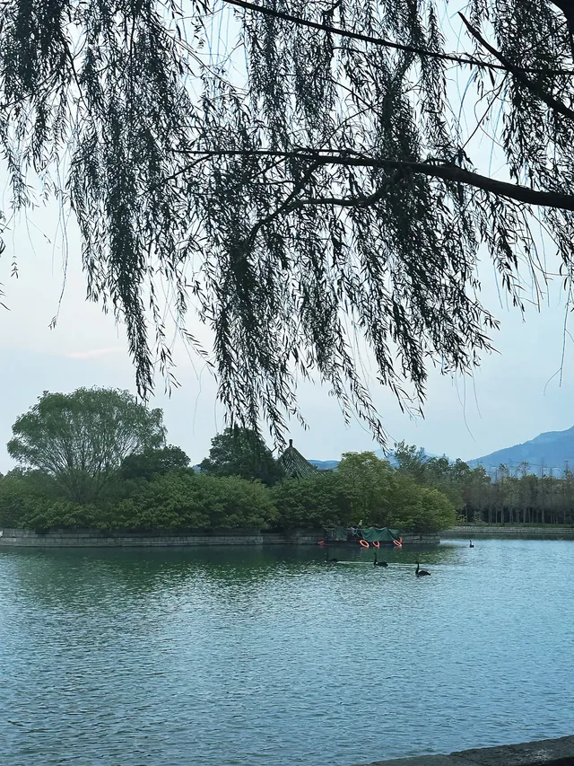 輝縣百泉湖 | 泉水復湧的江南夢境