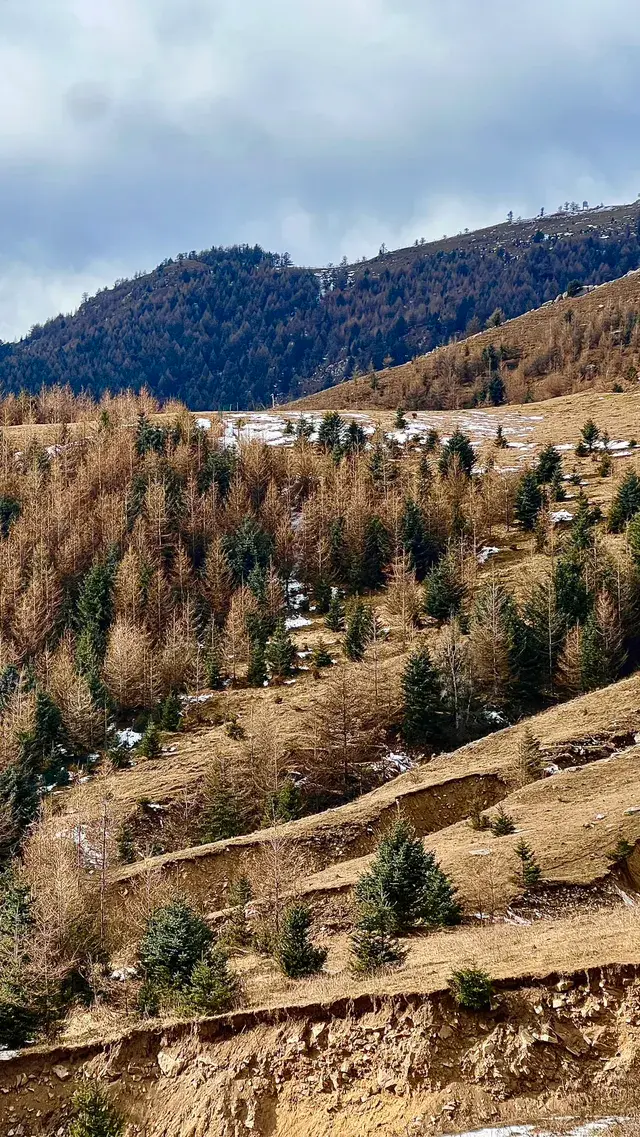 太原周邊｜把生活調成治癒模式