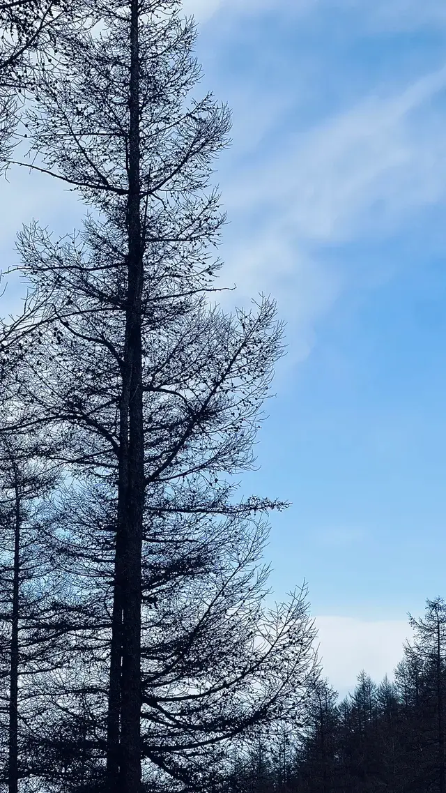 太原周邊｜把生活調成治癒模式