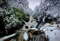 螺髻山瘋玩實錄：在雪地裡泡溫泉也太會了！