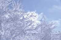 北京周邊藏了個冰雪王國?它叫樺皮嶺!!