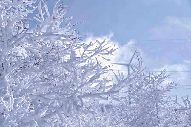 北京周邊藏了個冰雪王國?它叫樺皮嶺!! 北京周邊藏了個冰雪王國?它叫樺皮嶺!!