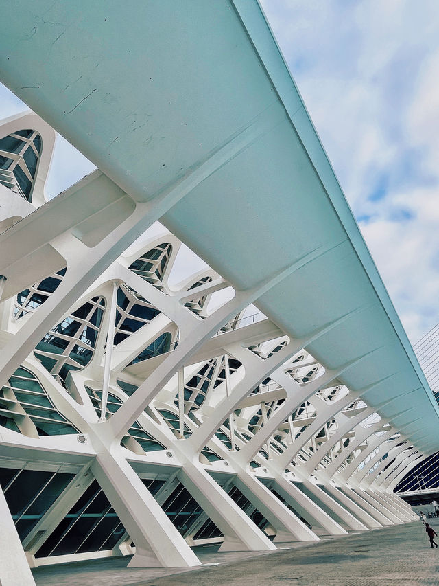 這裡的建築可以這樣拍-瓦倫西亞