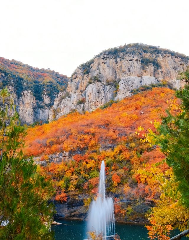 無門票!無停車費!景色絕美!不愧上過央視! 無門票!無停車費!景色絕美!不愧上過央視!