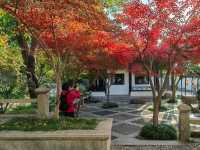 崑山2日遊：虎丘山、拙政園賞園林，周莊古鎮品水鄉