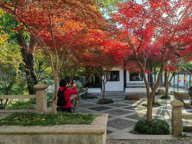 崑山2日遊：虎丘山、拙政園賞園林，周莊古鎮品水鄉