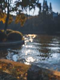 合肥週末全攻略｜廬州煙火+文藝秘境，2天1夜解鎖江淮韻味