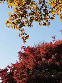 長椅湖畔油畫時光