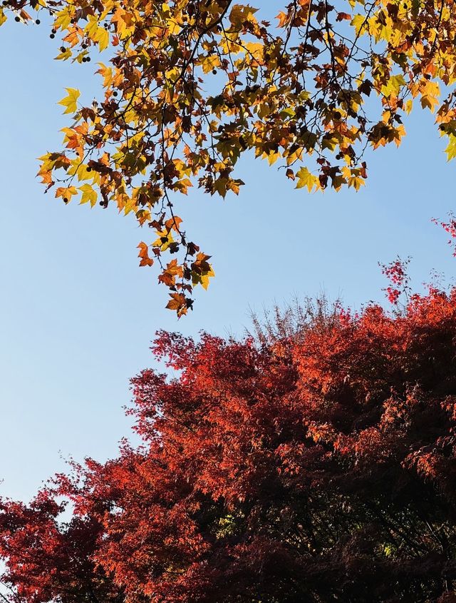 長椅湖畔油畫時光 長椅湖畔油畫時光