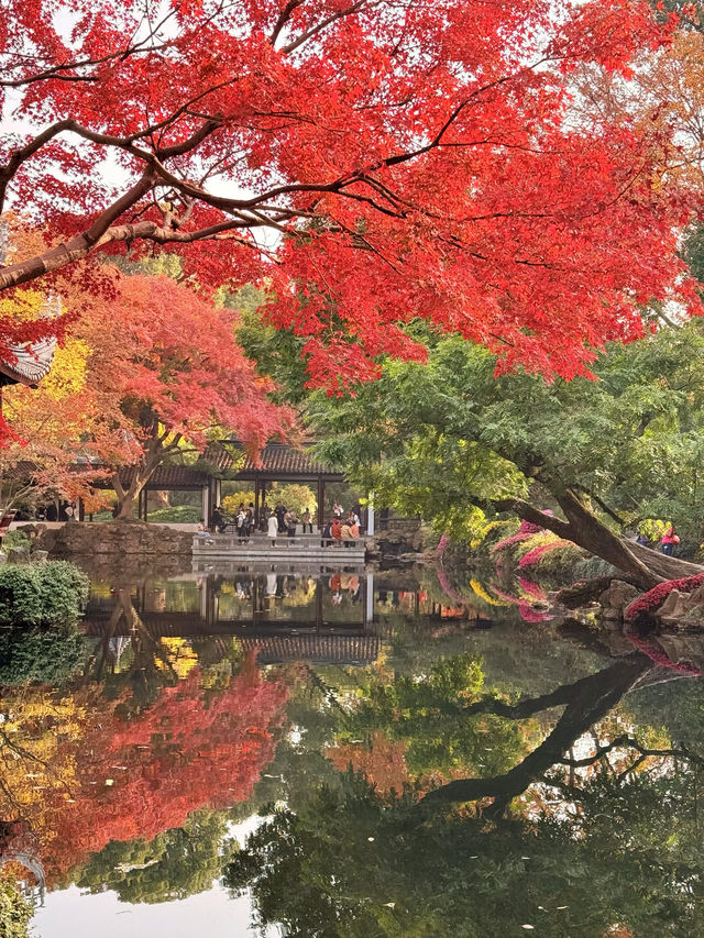 12月初實探｜無錫惠山古鎮，邂逅一場盛大的江南深秋