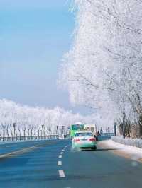 吉林霧淞|||吉林霧淞,冬季你不能錯過的美景,很壯觀